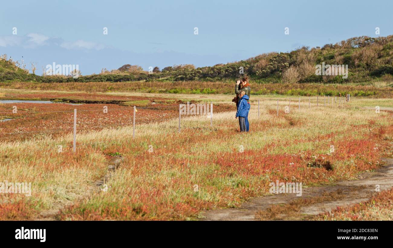 Texel, Niederlande - 22. Oktober 2020: Vogelbeobachtung im Naturschutzgebiet De Slufter auf der Watteninsel Texel, Nordholland, Niederlande Stockfoto