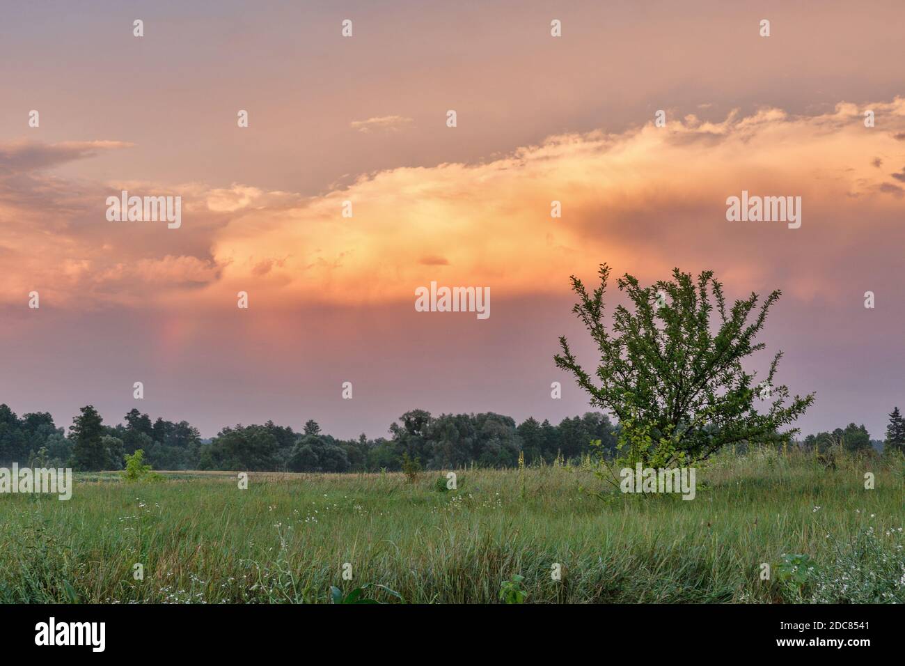 Dramatische Sonnenuntergang ländliche Landschaft in der Zentralukraine, Bohuslav Bezirk. Stockfoto