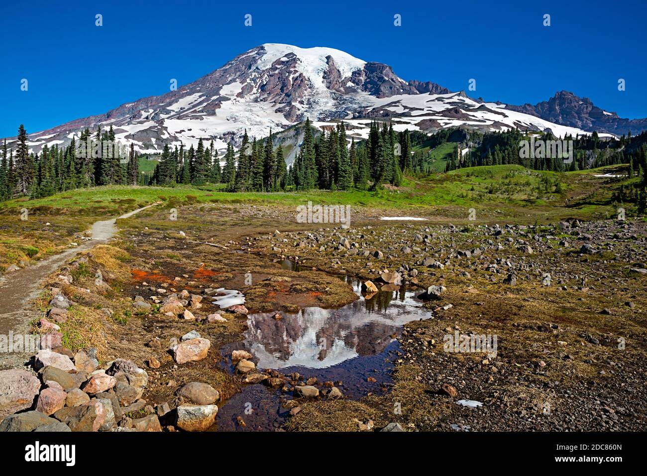 WA18265-00...WASHINGTON - Mount Rainier spiegelt sich in einem kleinen Teich entlang des Lakes Trail im Mount Rainier National Park. Stockfoto