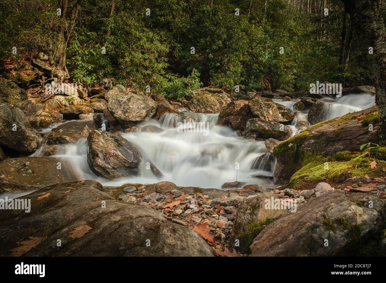 Ein Wasserfall rauscht durch die Blue Ridge Berge im Westen North Carolina Stockfoto