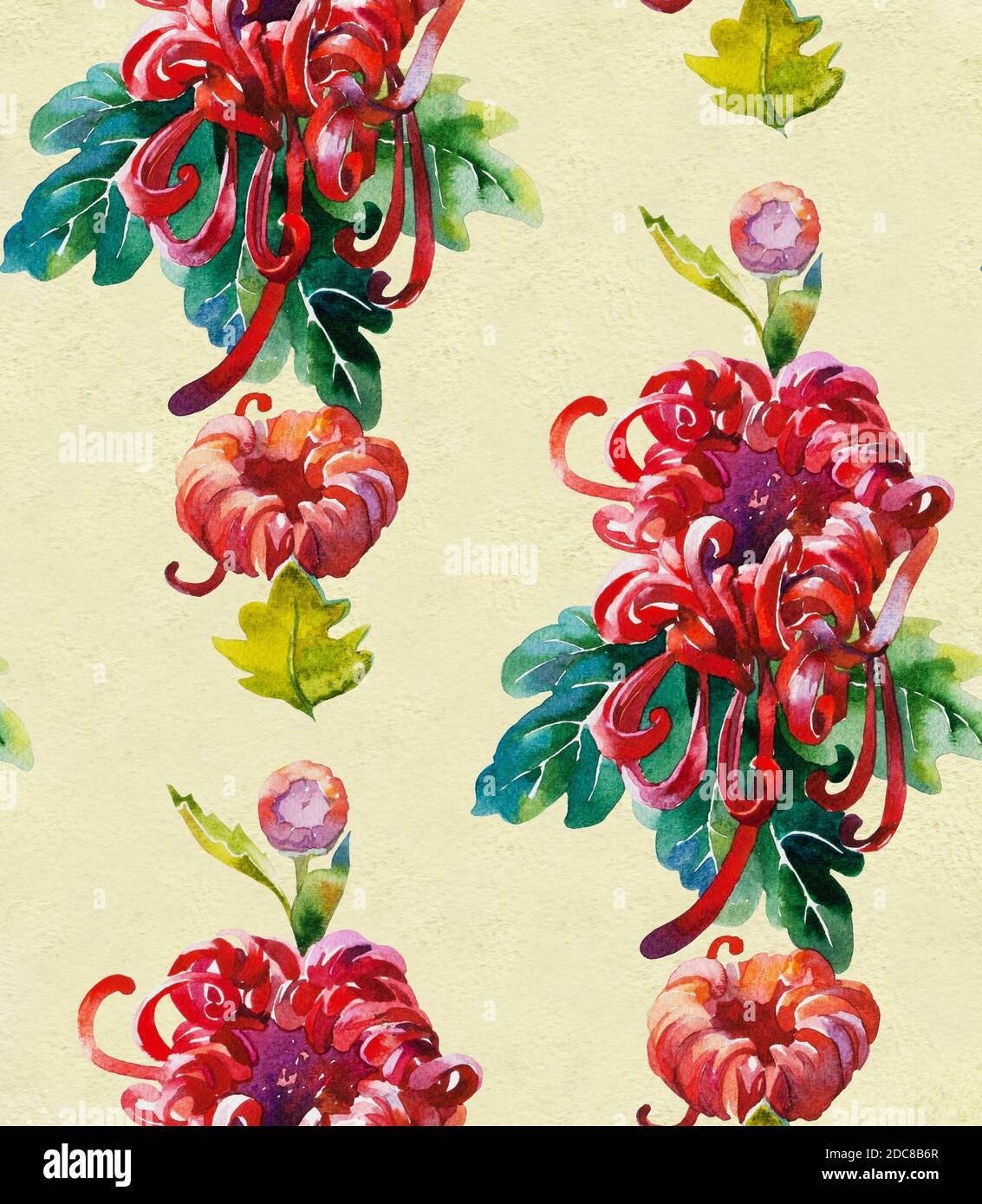 Rote Chrysantemum Tapete nahtlose Muster aus original Aquarell Stockfoto