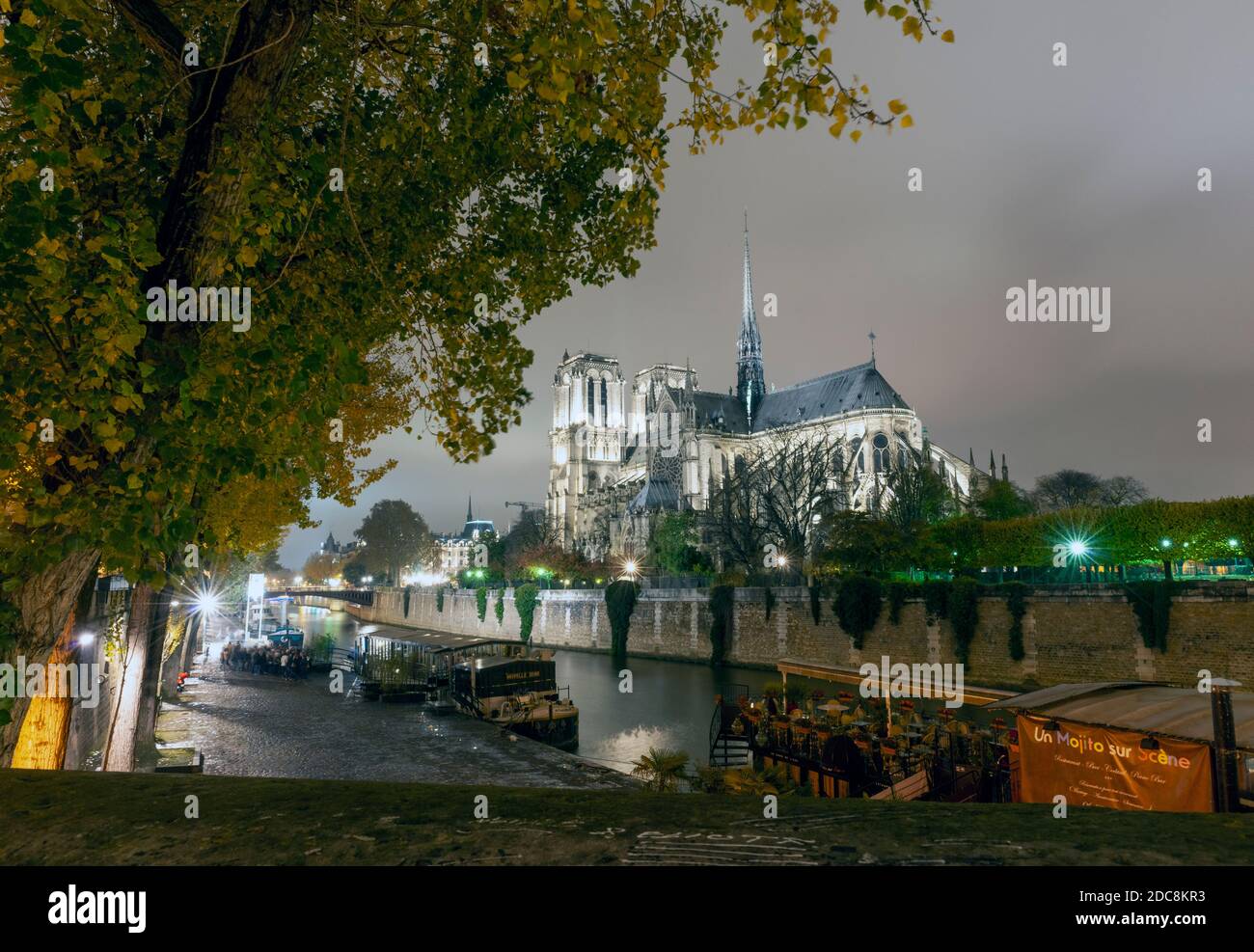 Blick auf die Kathedrale Notre Dame und die seine, Paris, Frankreich, EU - Paris bei Nacht. Stockfoto