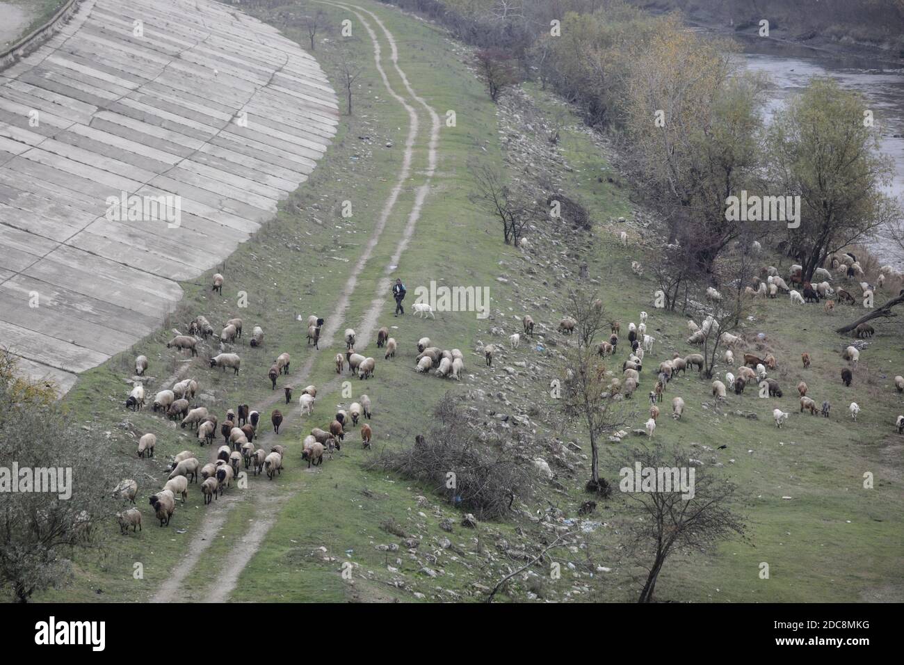 Giurgiu, Rumänien - 19. November 2020: Rumänischer Hirte mit seinen Schafen in einem schmutzigen Industriegebiet. Stockfoto