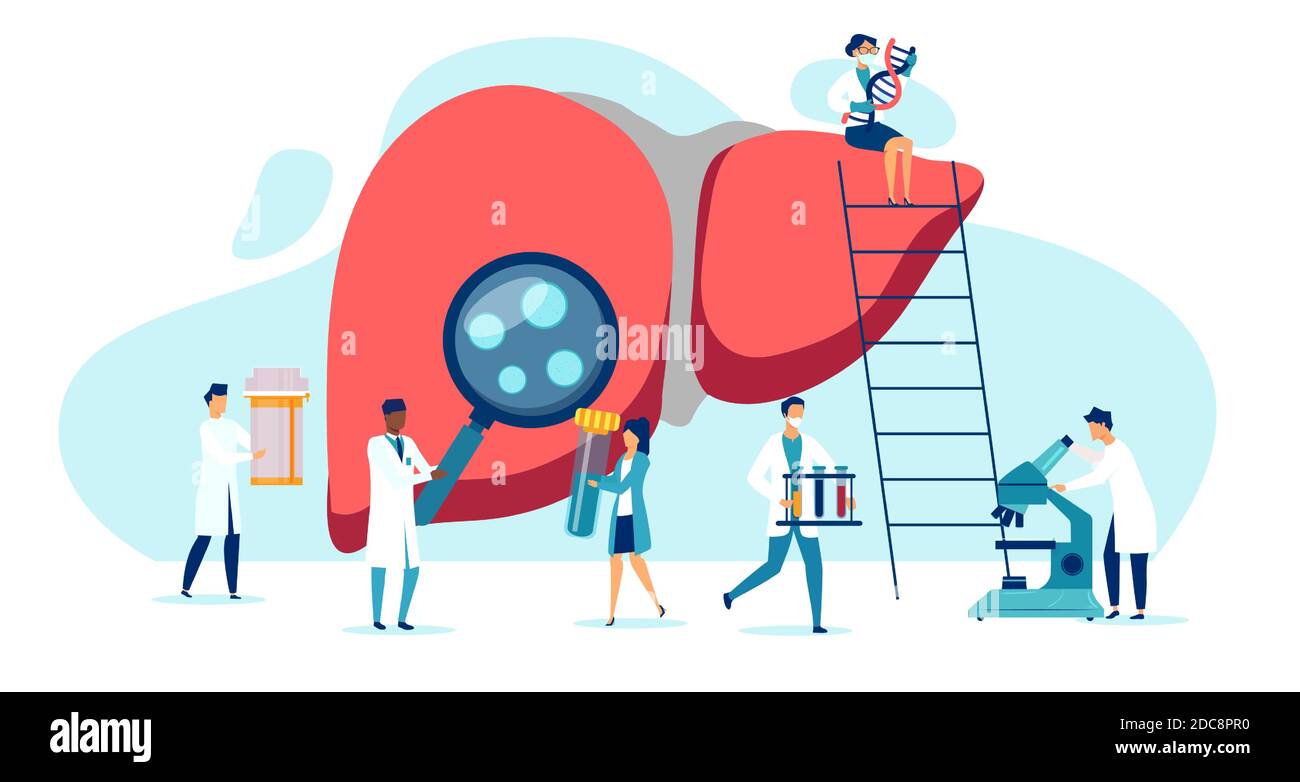 Vektor einer Gruppe von Ärzten, die die Leber des Patienten untersuchen, Labortests durchführen, Biopsie, Molekularanalyse Stock Vektor