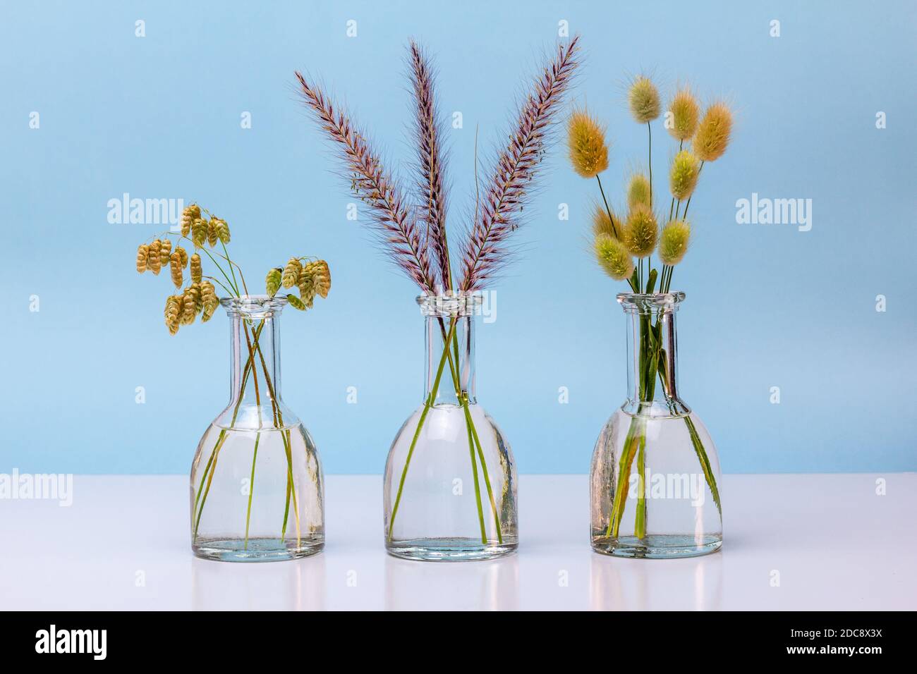 Glasflaschen, die als Vase für Gras verwendet werden, einfache minimalistische Einrichtung mit recycelten nachhaltigen Materialien, Wiederverwendung Recycling Upcycle für ein nachhaltiges Leben Stockfoto