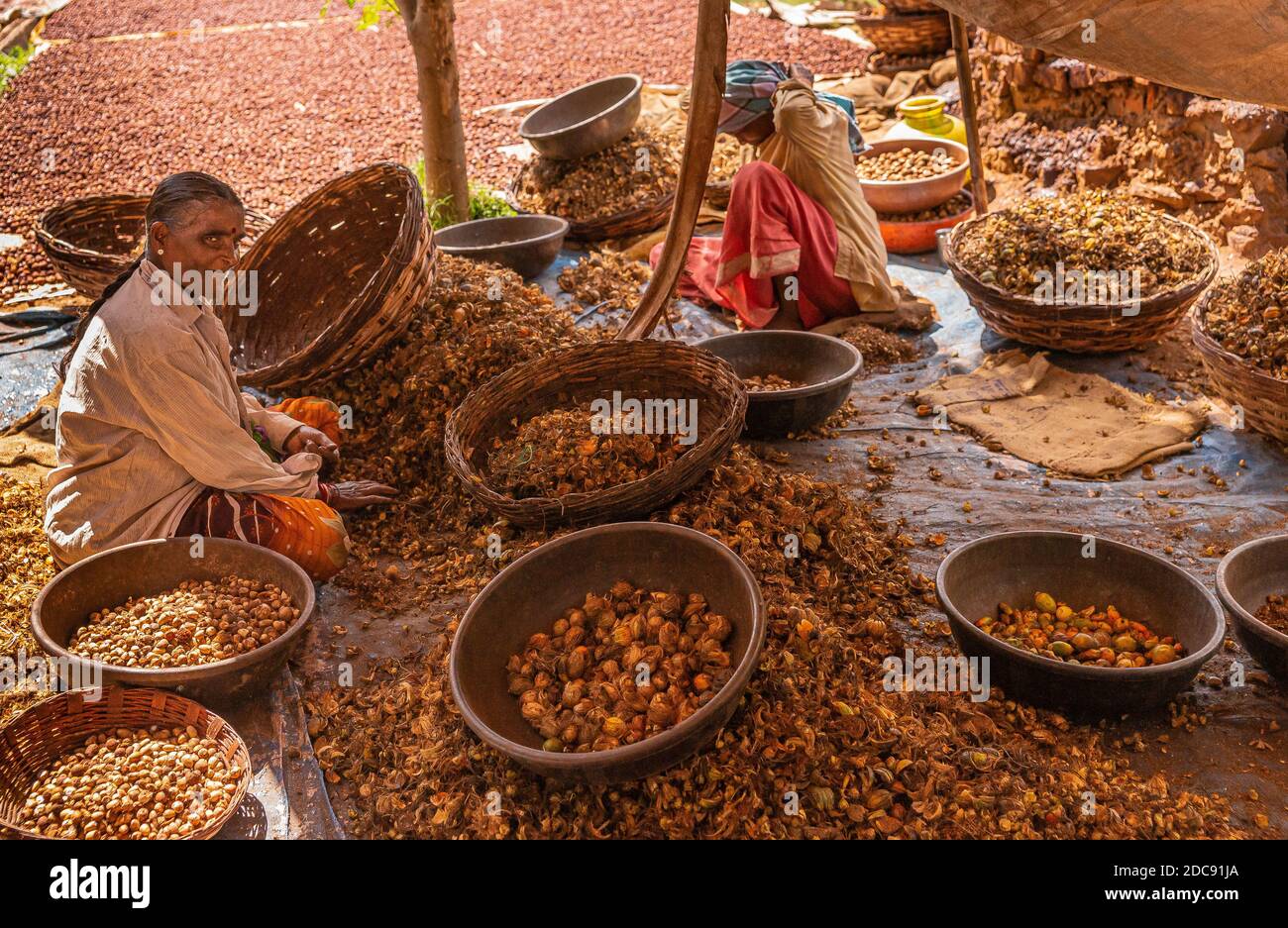 Chikkanayakanahalli, Karnataka, Indien - 3. November 2013: 2 Frauen sortieren und sammeln Abfälle von Betelhaut und Früchten in Körben sitzen auf der Seite des Haufens o Stockfoto