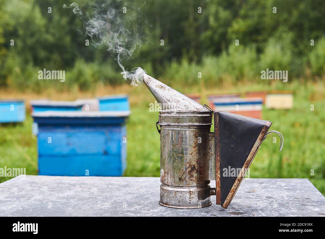 Raucher steht auf dem Dach des Bienenstocks in der Nahaufnahme des Bienenstiels Stockfoto