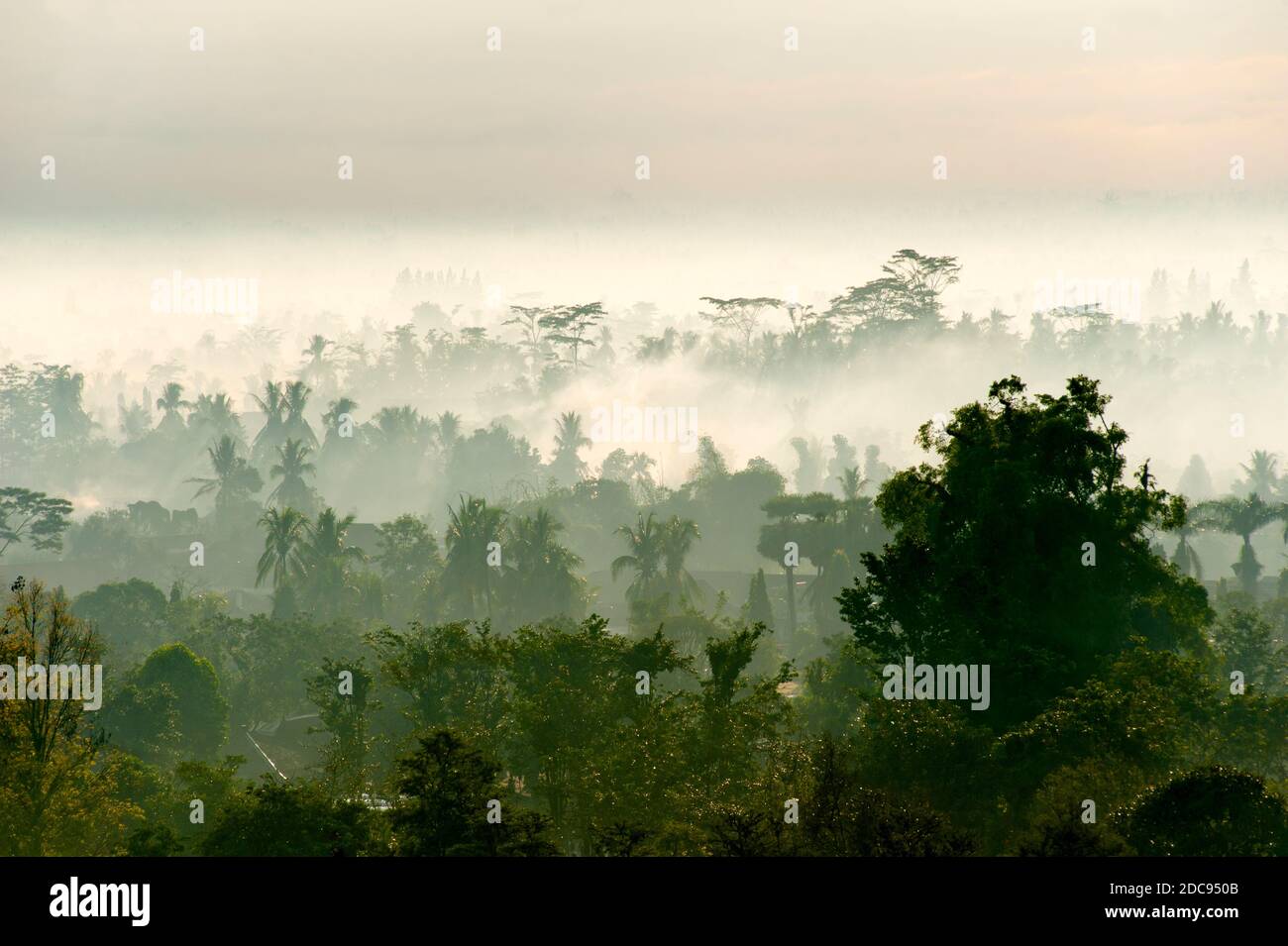 Blick über den frühen Morgengrauen auf der Kedu-Ebene bei Sonnenaufgang im Borobudur-Tempel, Yogyakarta, Java, Indonesien, Asien, Hintergrund mit Kopierraum Stockfoto