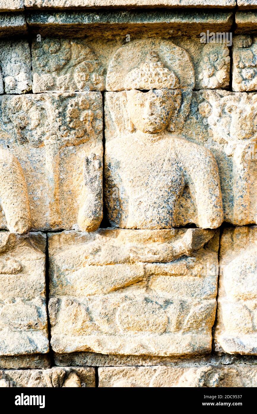 Nahaufnahme Foto des Details der Steinbas Reliefschnitzereien, die die Wände des Borobudur Tempels, Yogyakarta, Java, Indonesien, Asien Stockfoto