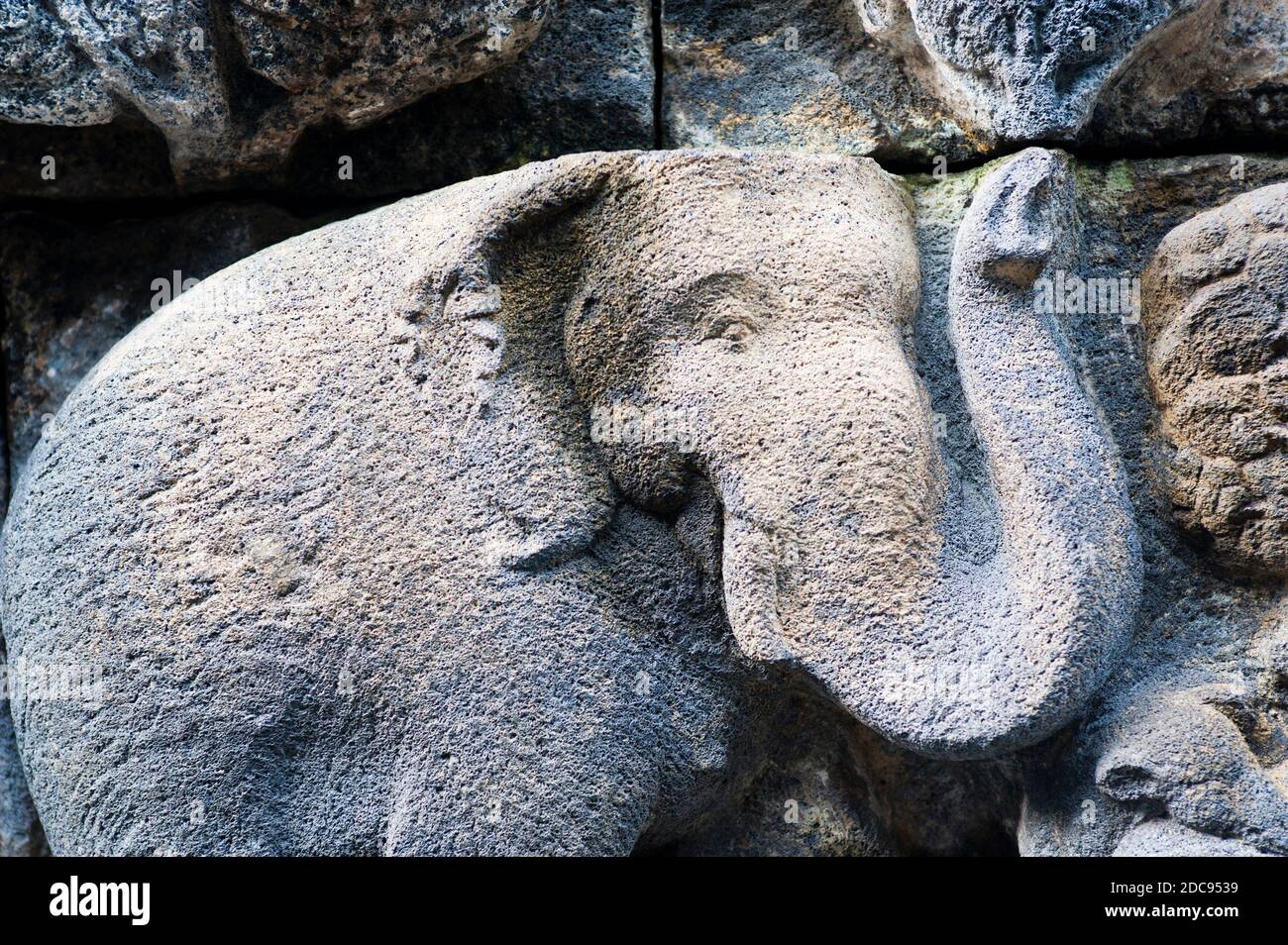 Nahaufnahme Foto eines Elefanten im Bas Reliefschnitzereien, die die Wände des Borobudur-Tempels umschließen, Yogyakarta, Java, Indonesien, Asien Stockfoto