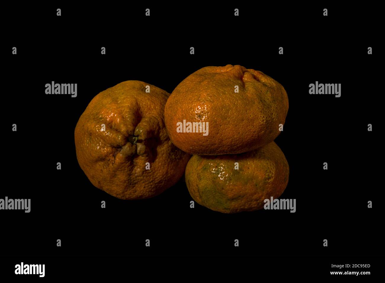 Mandarinen auf schwarzem Hintergrund Stockfoto