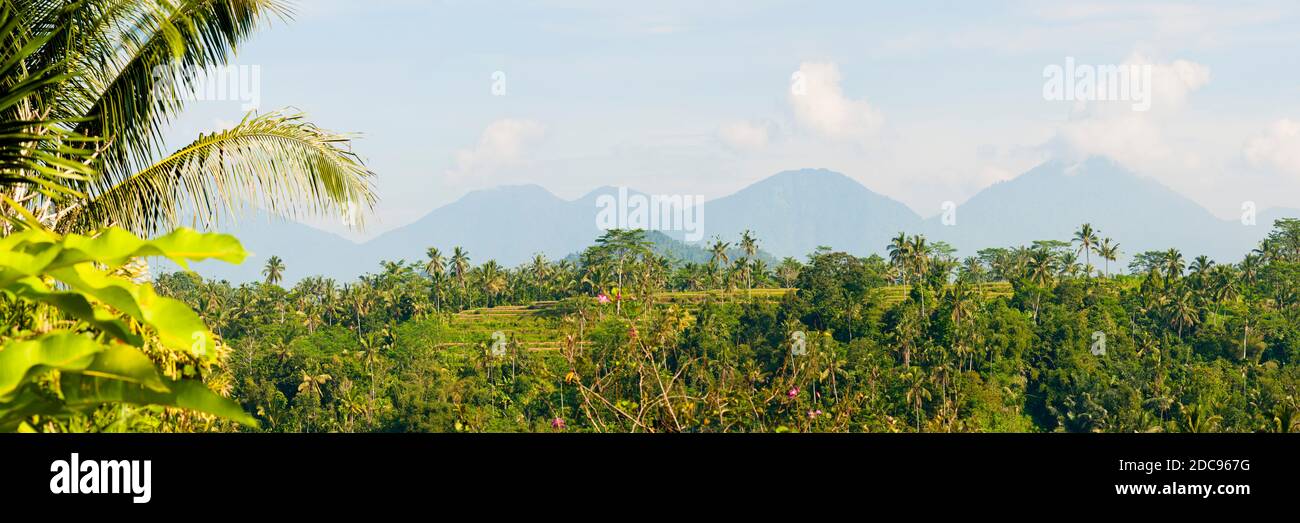 Panoramafoto von Vulkanen, Bergen und einem Palmenwald auf Bali, Indonesien, Asien Stockfoto