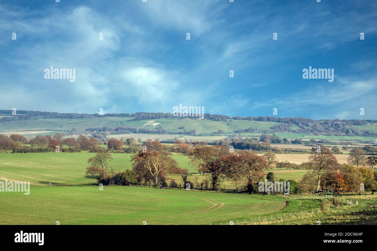 Countrysde ChilWtern Hills Hertfordshire England Stockfoto