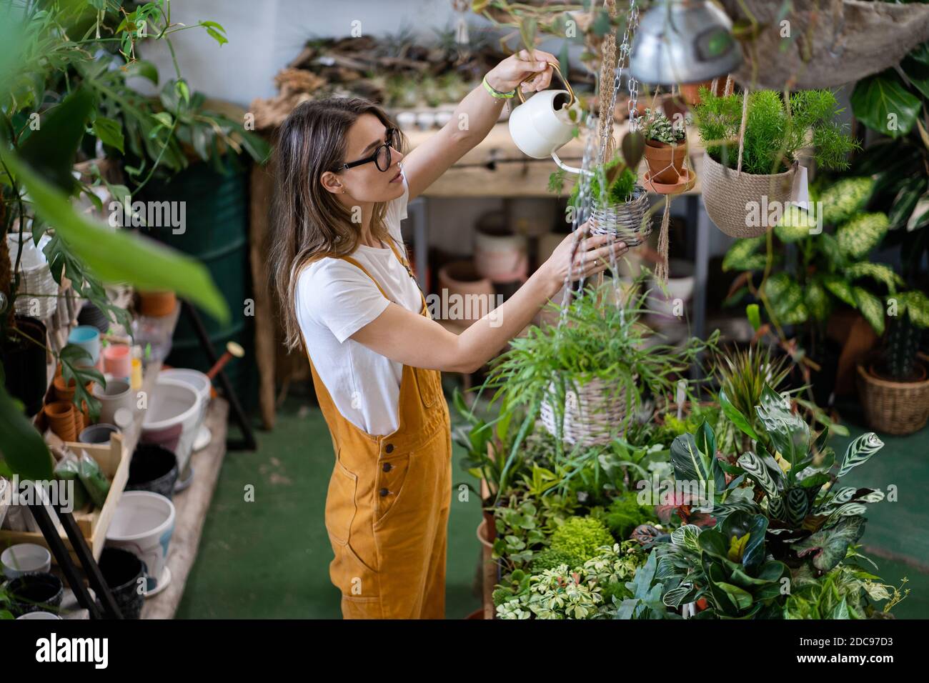 Frau Gärtner in orange Overalls Bewässerung Topfpflanze im Gewächshaus von Pflanzen und Töpfen umgeben, mit weißen Gießkanne Metall. Home Gardeni Stockfoto