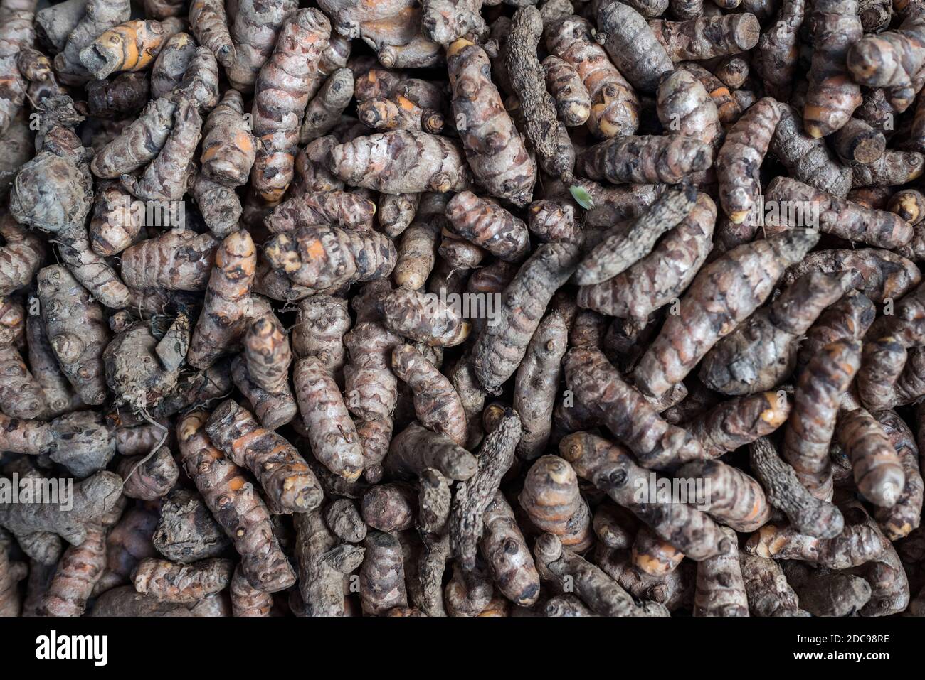 Ingwer in Sabang Market, Pulau Weh Island, Aceh Province, Sumatra, Indonesien, Asien Stockfoto