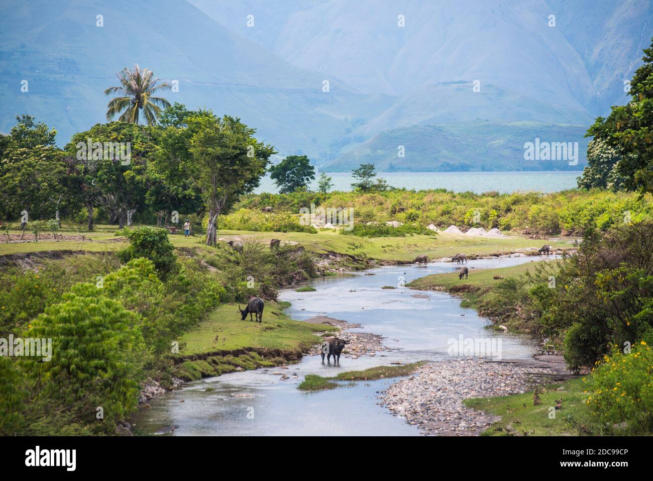 Flussleben am Toba-See (Danau Toba), dem größten vulkanischen See der Welt, Nordsumatra, Indonesien, Asien Stockfoto