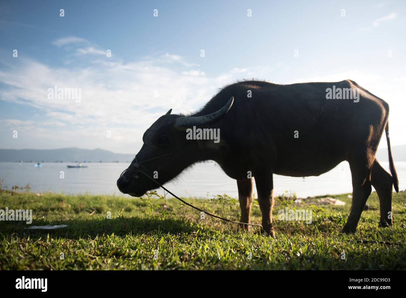 Lake toba danau toba Fotos und Bildmaterial in hoher Auflösung Alamy