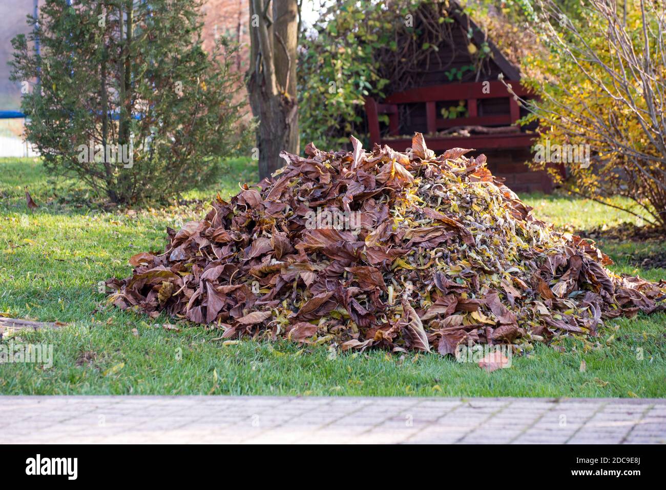 Geharkt Laubhaufen auf dem Gras im Garten. Herbstgartenarbeit an sonnigen Tagen. Stockfoto