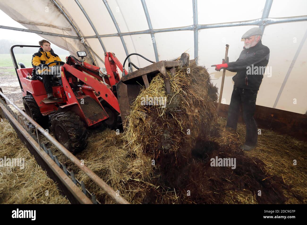 19.01.2019, Neu Kaetwin, Mecklenburg-Vorpommern, Deutschland - EIN Landwirt weist seinen Auszubildenden an, einen Schafstall auszumucken. 00S190119D539CAROEX.JPG [MOD Stockfoto