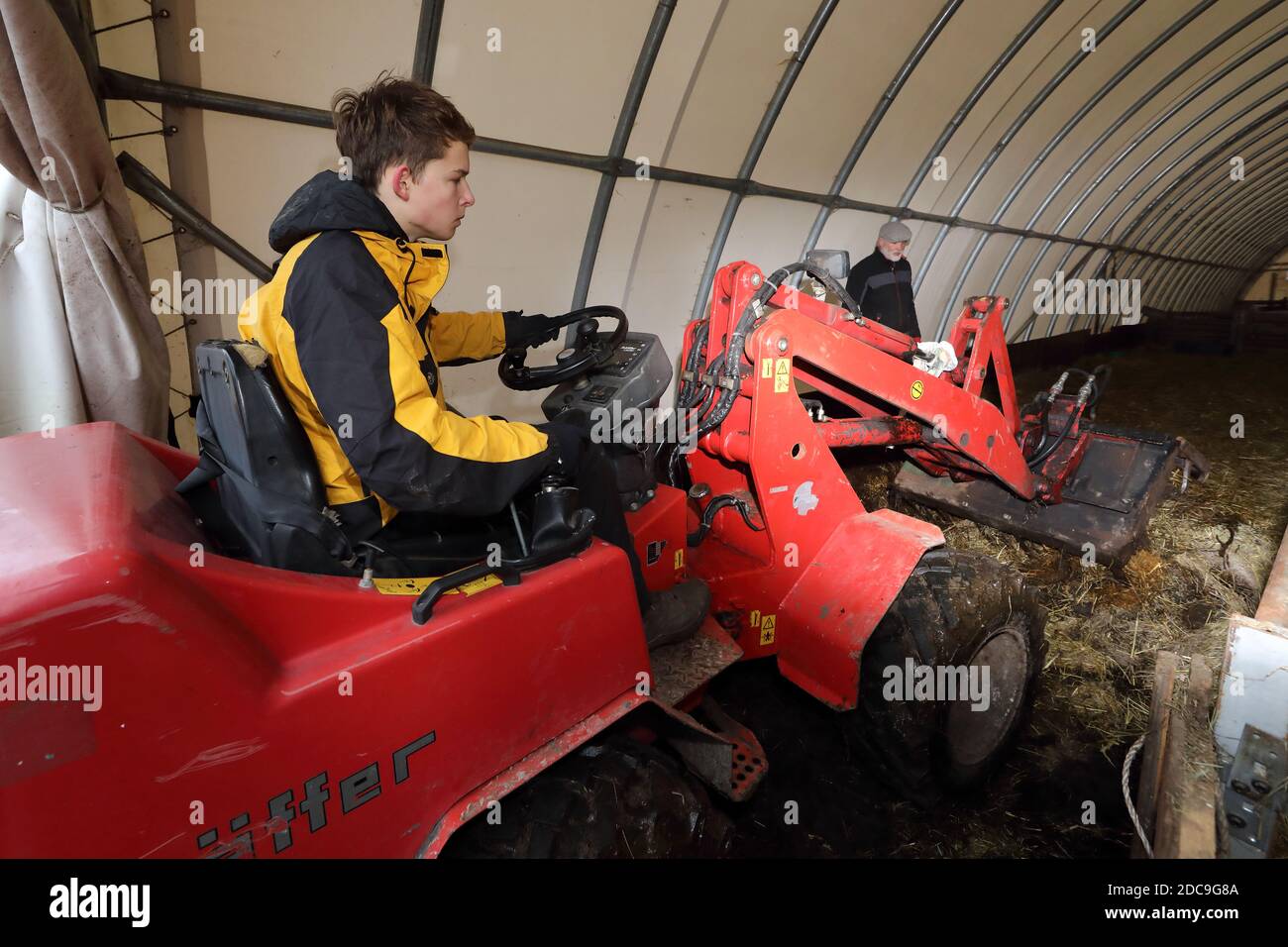 19.01.2019, Neu Kaetwin, Mecklenburg-Vorpommern, Deutschland - Auszubildendenzum Ausmucken eines Schafes. 00S190119D541CAROEX.JPG [MODELLVERSION: JA, EIGENTUM Stockfoto