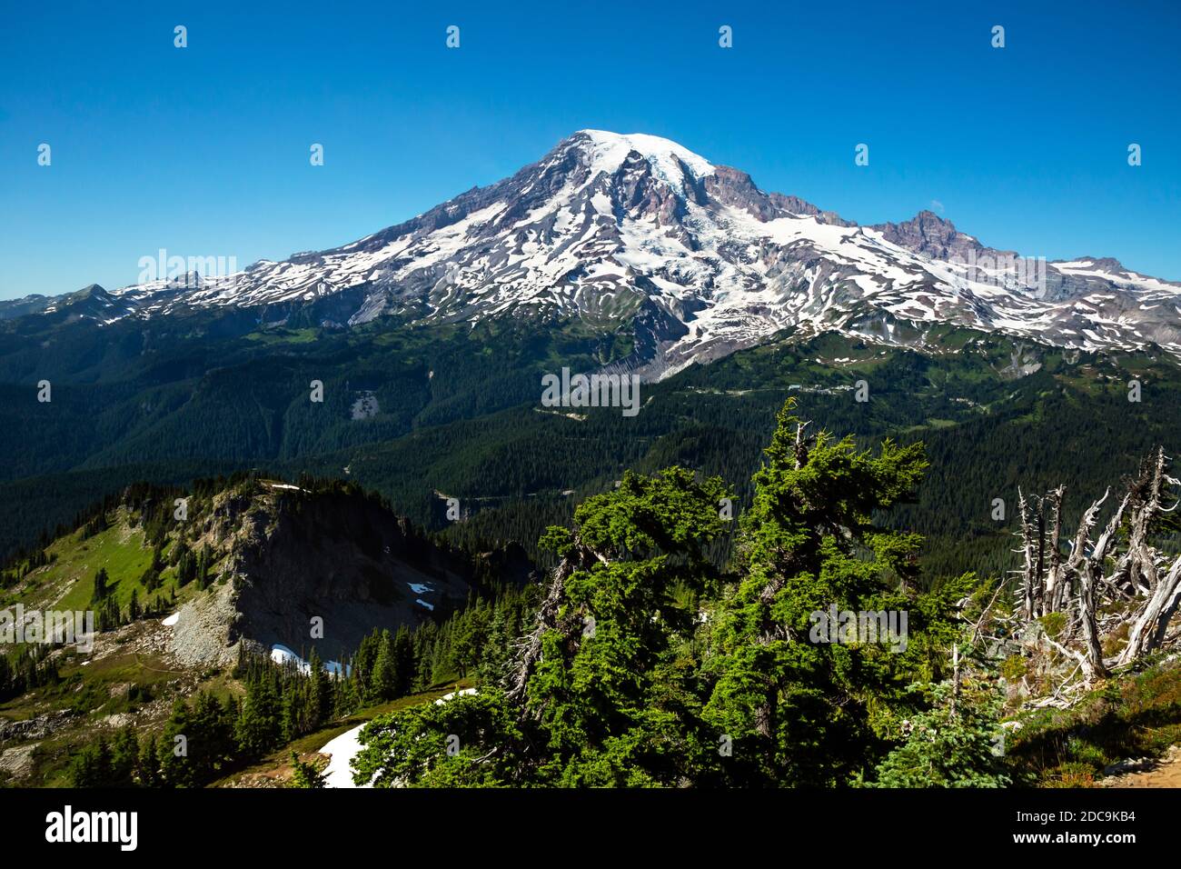 WA18285-00...WASHINGTON - Blick auf Mount Rainier vom Gipfel des Plummer Peak in der Tatoosh Range des Mount Rainier National Park. Stockfoto