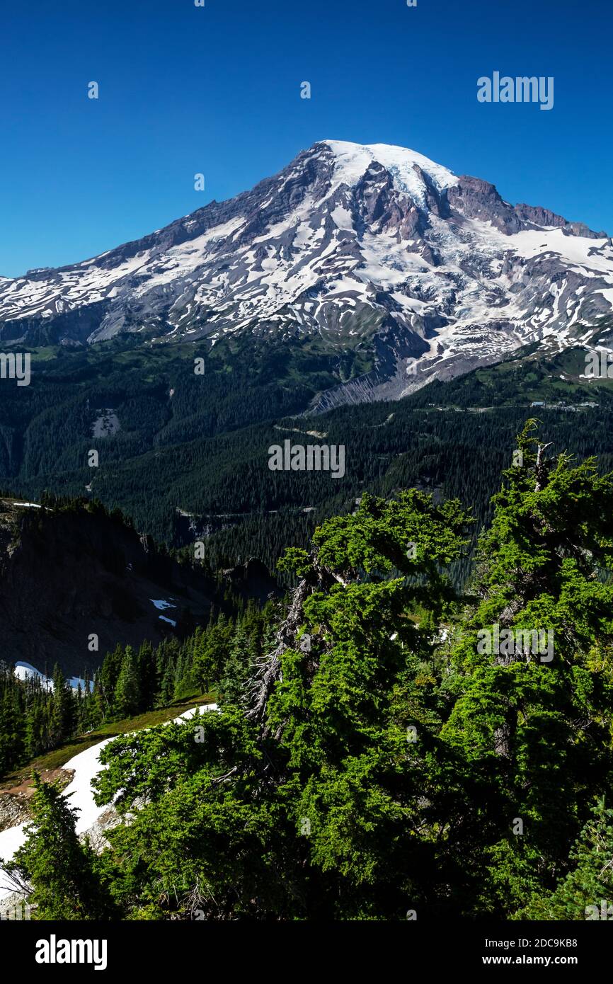 WA18286-00...WASHINGTON - Blick auf Mount Rainier vom Gipfel des Plummer Peak in der Tatoosh Range des Mount Rainier National Park. Stockfoto