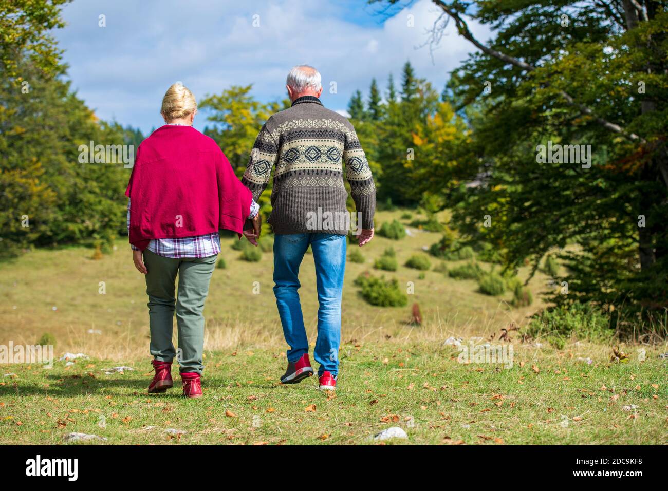 Zurück Portrait Senioren Paar Wandern in einer wunderschönen Natur. Stockfoto