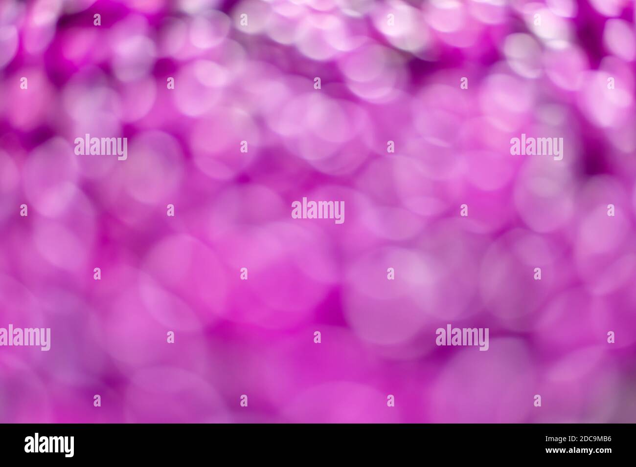 Unscharfer violetter Hintergrund. Viele Kreise, teilweise überlappt, mit weißen und violetten eingeschlossen. Stockfoto