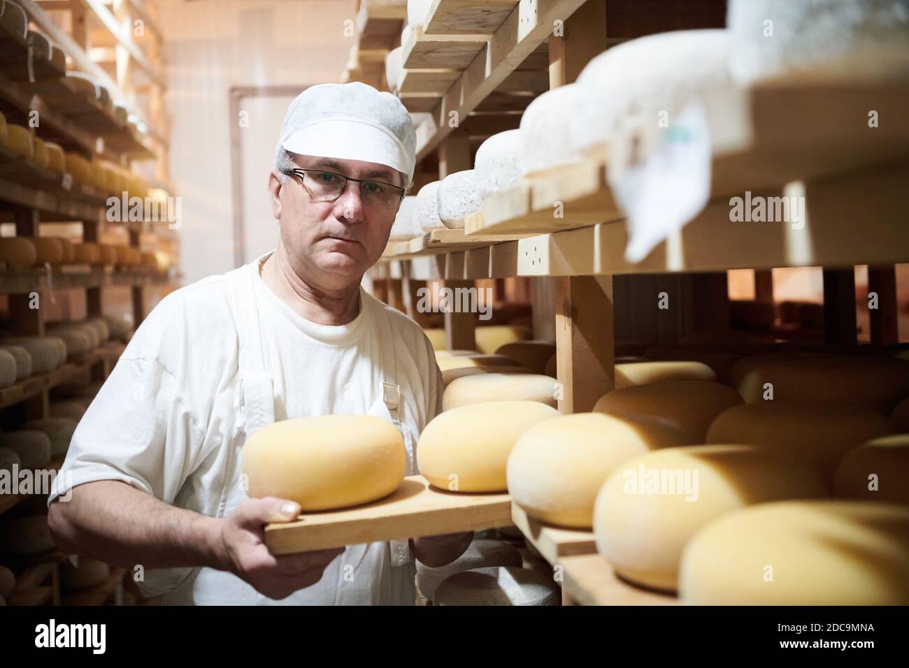 Käseherstellung im Lager mit Regalen voller Kuh Und Ziegenkäse Stockfoto