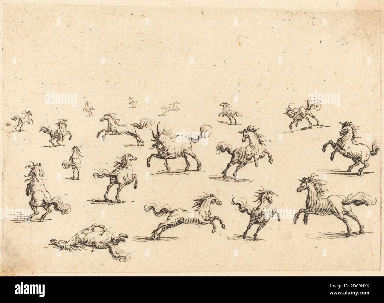 Jacques Callot, (Künstler), Französisch, 1592 - 1635, Pferde laufen, Capricci (Florenz-Serie), (Serie), c. 1617, Ätzen Stockfoto