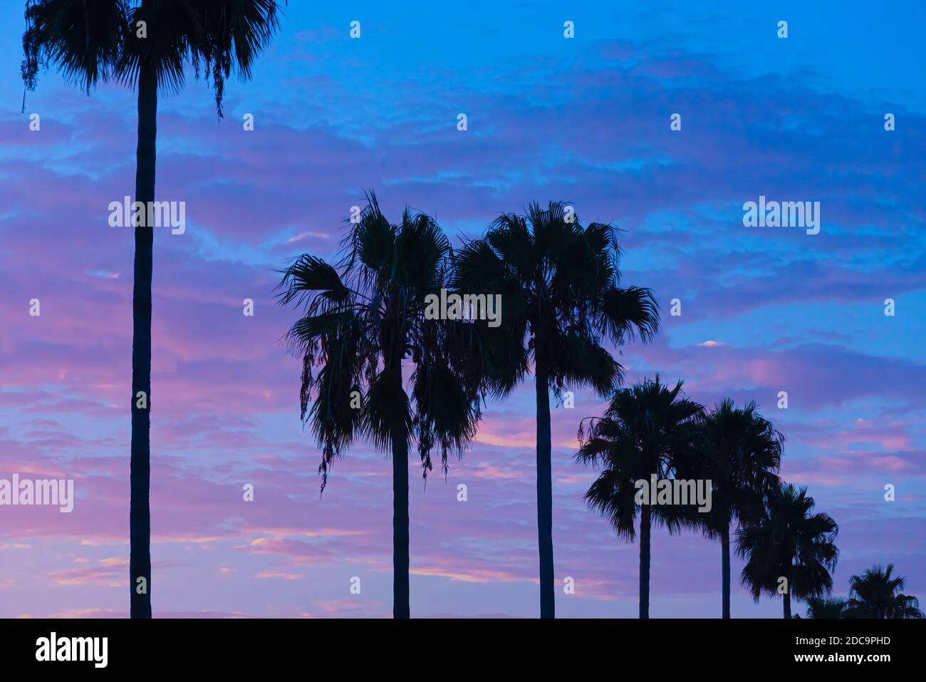 Blick auf den Sonnenuntergang entlang der Florida A1A in Ponte Vedra Beach, Florida. (USA) Stockfoto