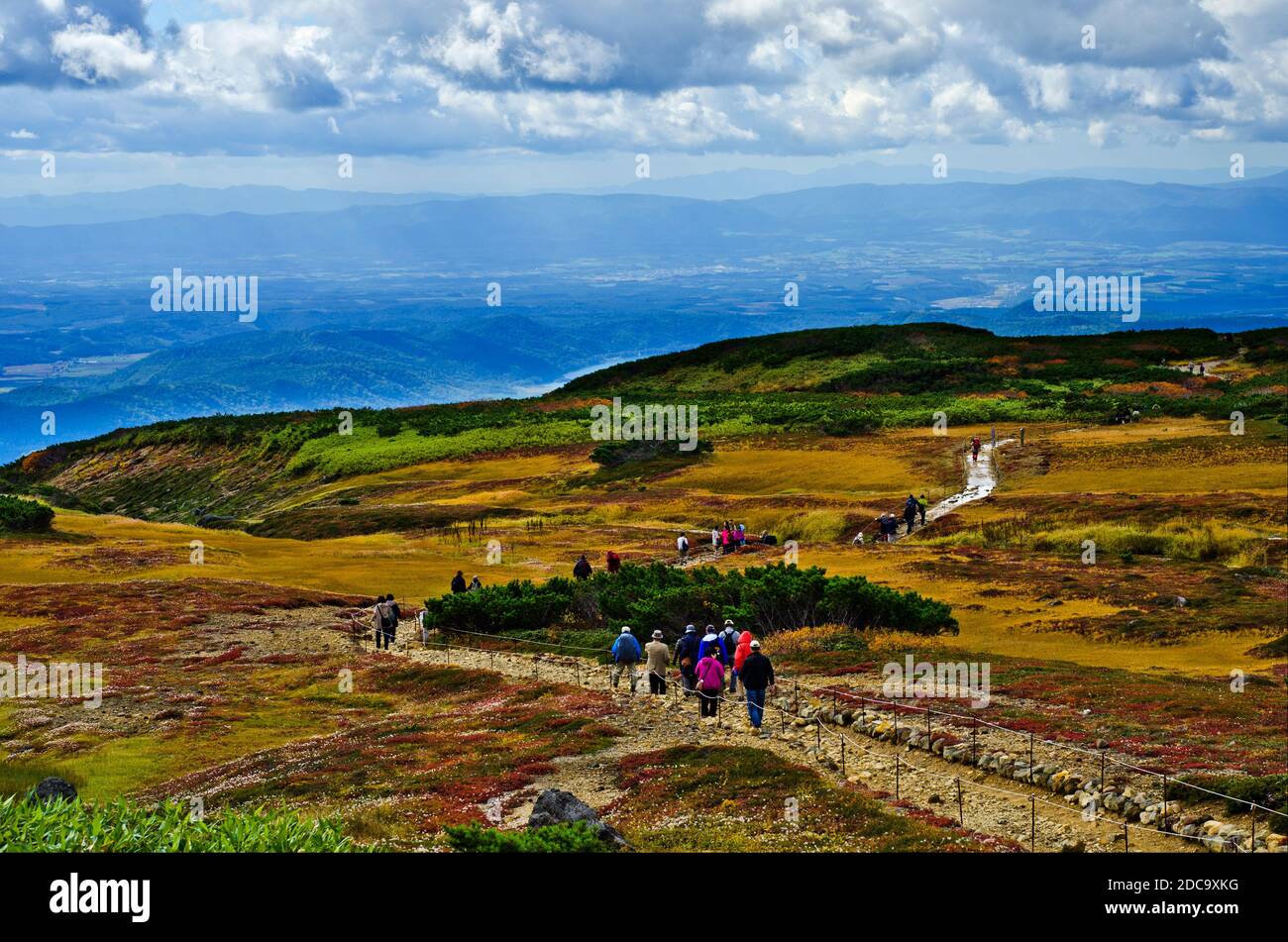 Wunderschöne Herbstfarben am Mt. Asahidake, Hokkaido, Japan. Stockfoto