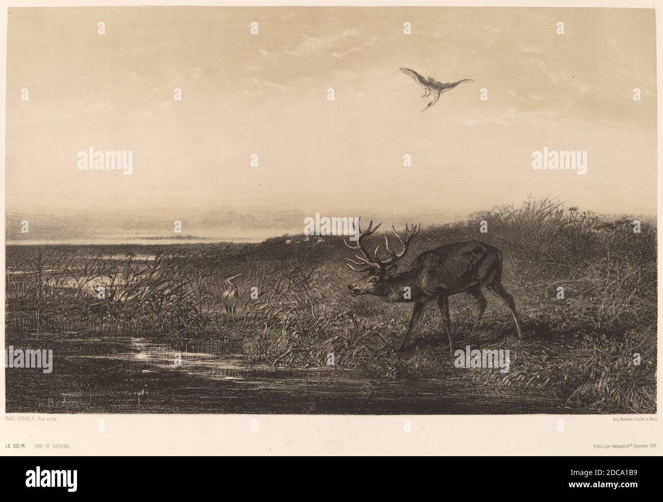 Karl Bodmer, (Künstler), Schweizer, 1809 - 1893, Le Soir. Cerf et Herons, Chiaroscuro Lithographie Stockfoto