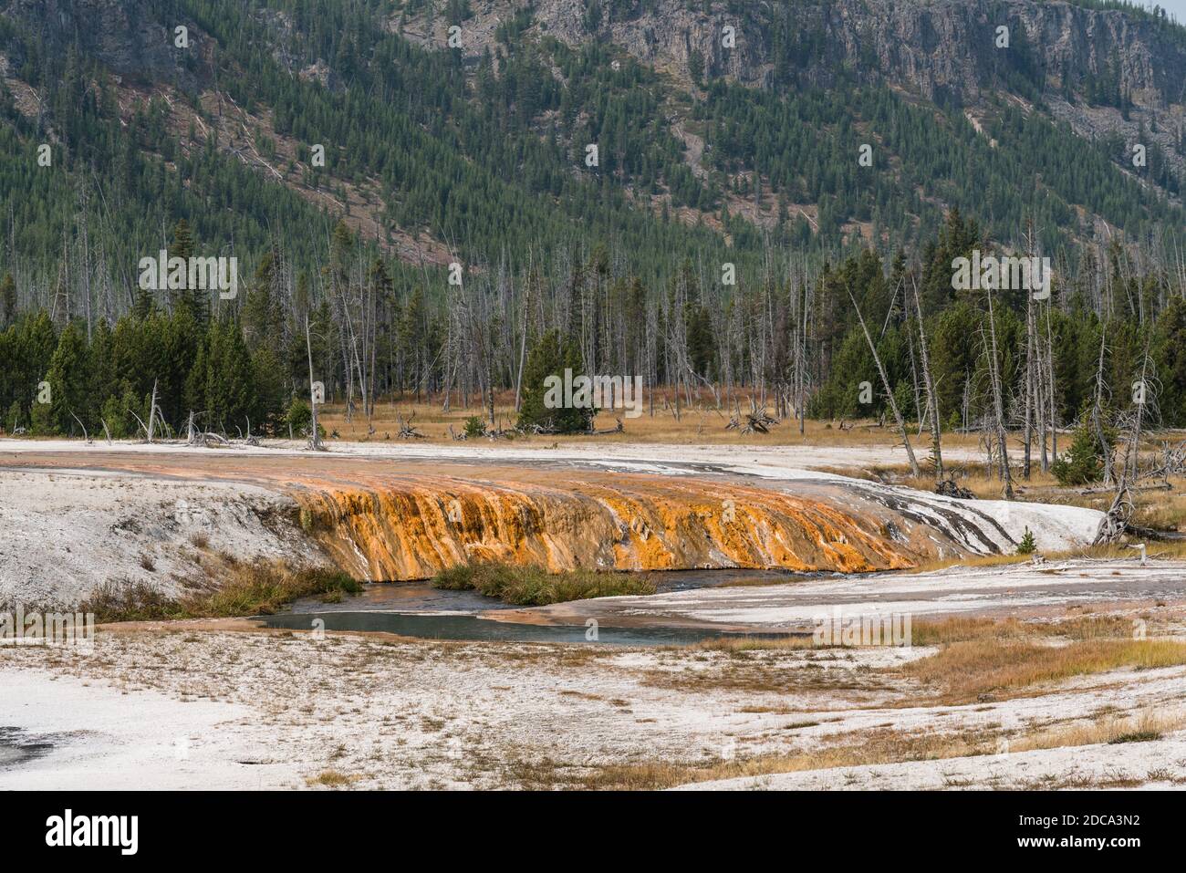 Bunte thermophile Bakterien am Ufer des Iron Spring Creek im Black Sand Basin des Yellowstone National Park in Wyoming, USA. Stockfoto