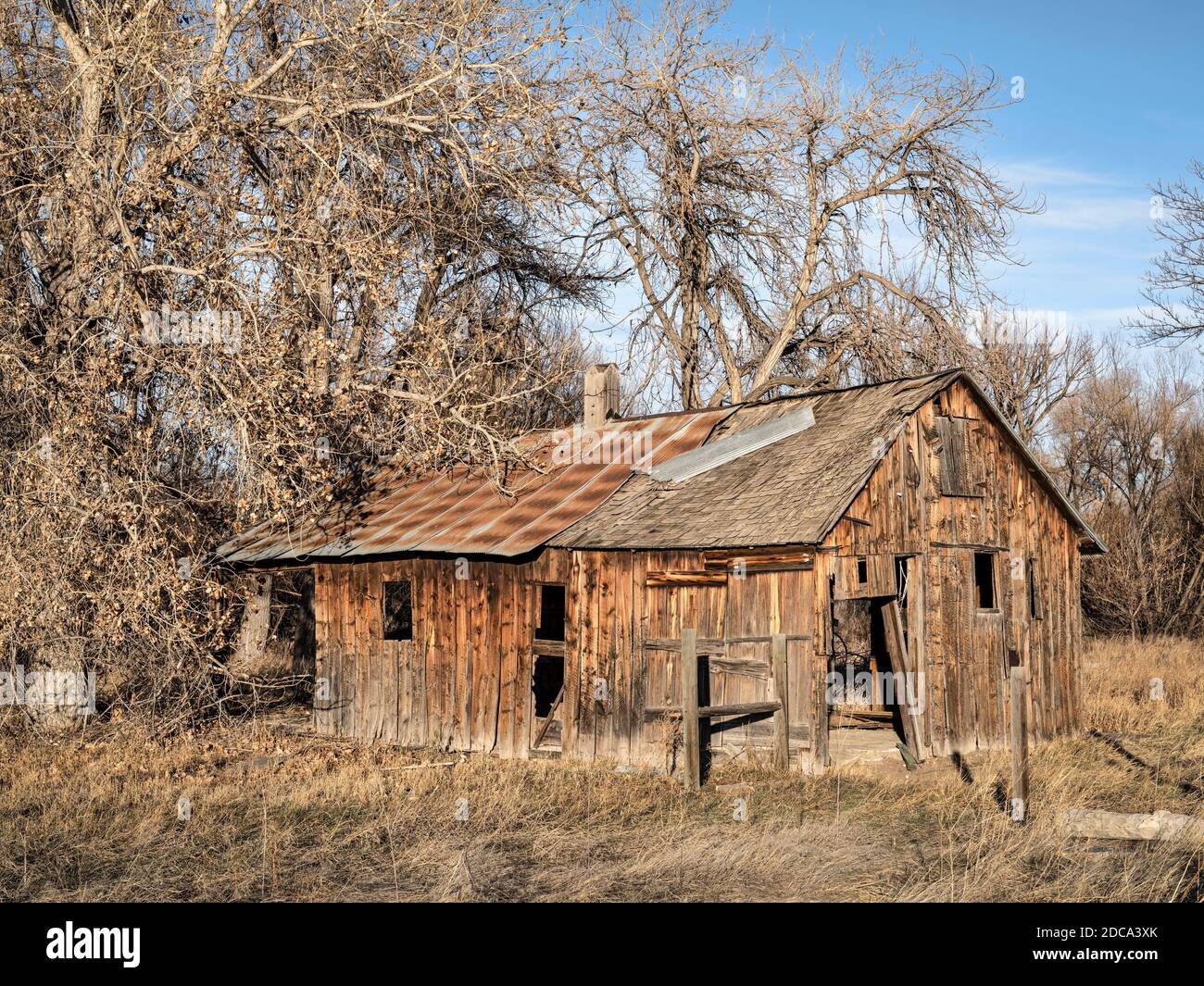 Verlassene Farmgebäude in der nördlichen Colorado Prärie, Metalldach fällt auseinander, altes Gehöft in Herbstlandschaft Stockfoto