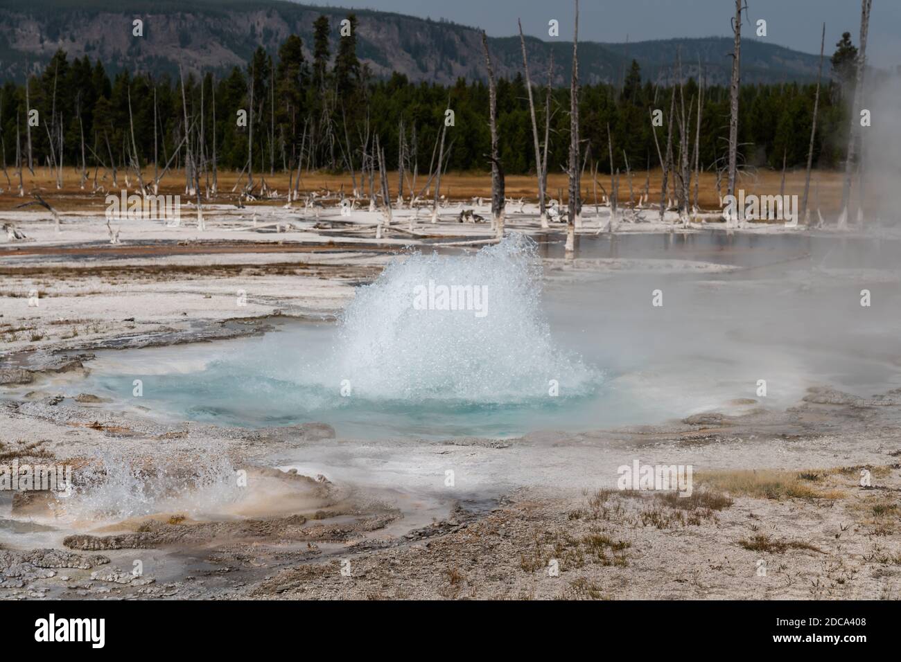 Der Spouter Geyser und sein Seitenausbruch im Black Sand Basin des Yellowstone National Park in Wyoming, USA. Stockfoto