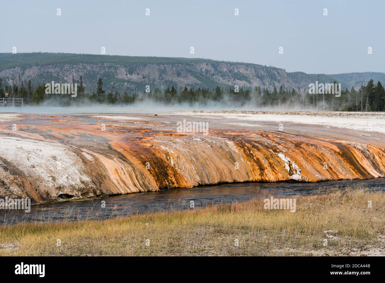 Heißes Wasser aus Sunset Lake mit Matten aus bunten Thermophilen Bakterien fließen in den Iron Spring Creek im schwarzen Sand Becken von Yellowstone National P Stockfoto