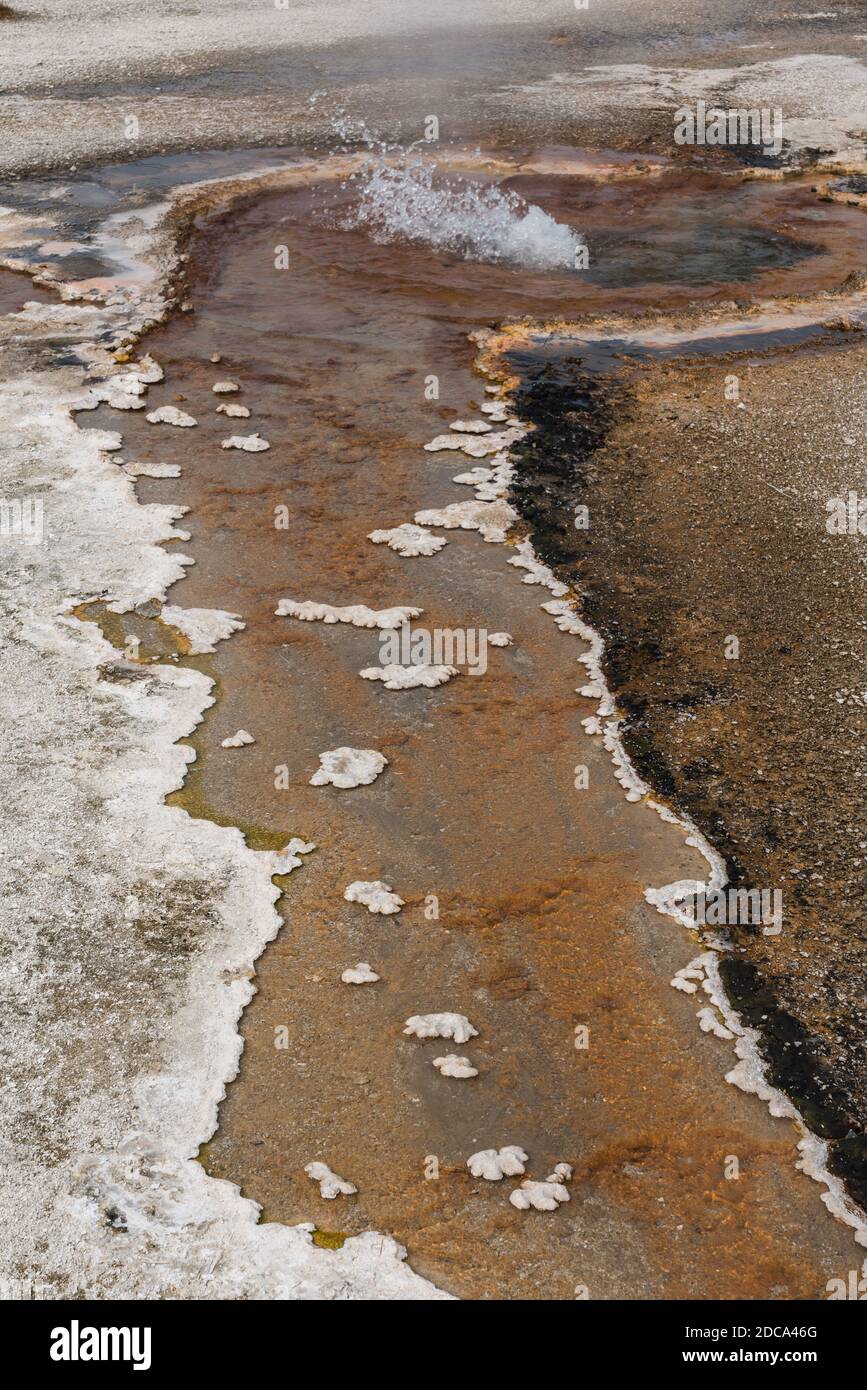 Cinnamon Spouter sprudelt im Black Sand Basin im Yellowstone National Park, USA. Stockfoto