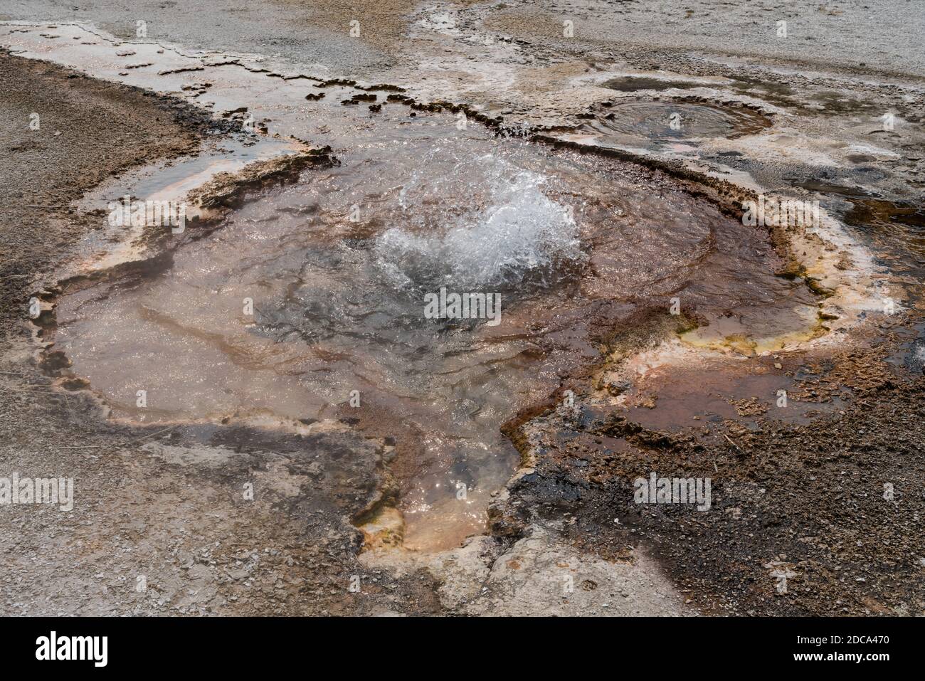Cinnamon Spouter sprudelt im Black Sand Basin im Yellowstone National Park, USA. Stockfoto