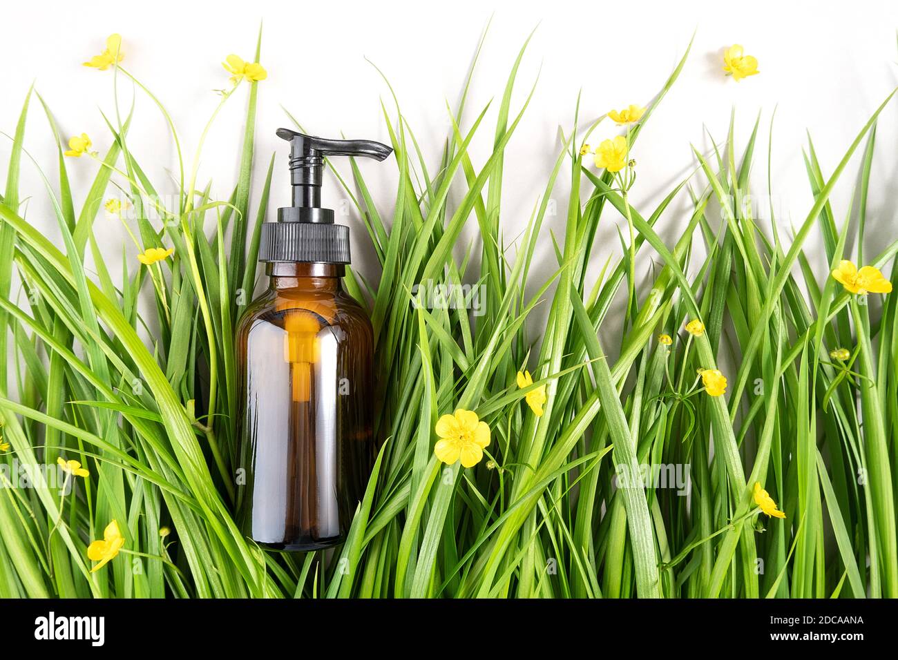 Braune Glasflasche mit Pumpe von kosmetischen Produkten unter dem grünen Gras, gelbe Blumen auf weißem Hintergrund. Natürliche organische Spa Schönheit kosmetische Konz Stockfoto