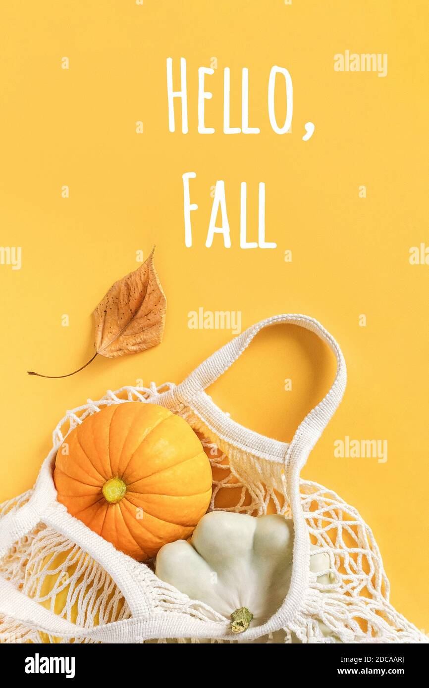 Hallo Herbst Text und Herbst Zusammensetzung gemacht Ernte Gemüse Kürbis Kürbis, Pattypan Squash in Shopping-Mesh-Tasche, Herbstblatt auf orangefarbenem Hintergrund. Stockfoto