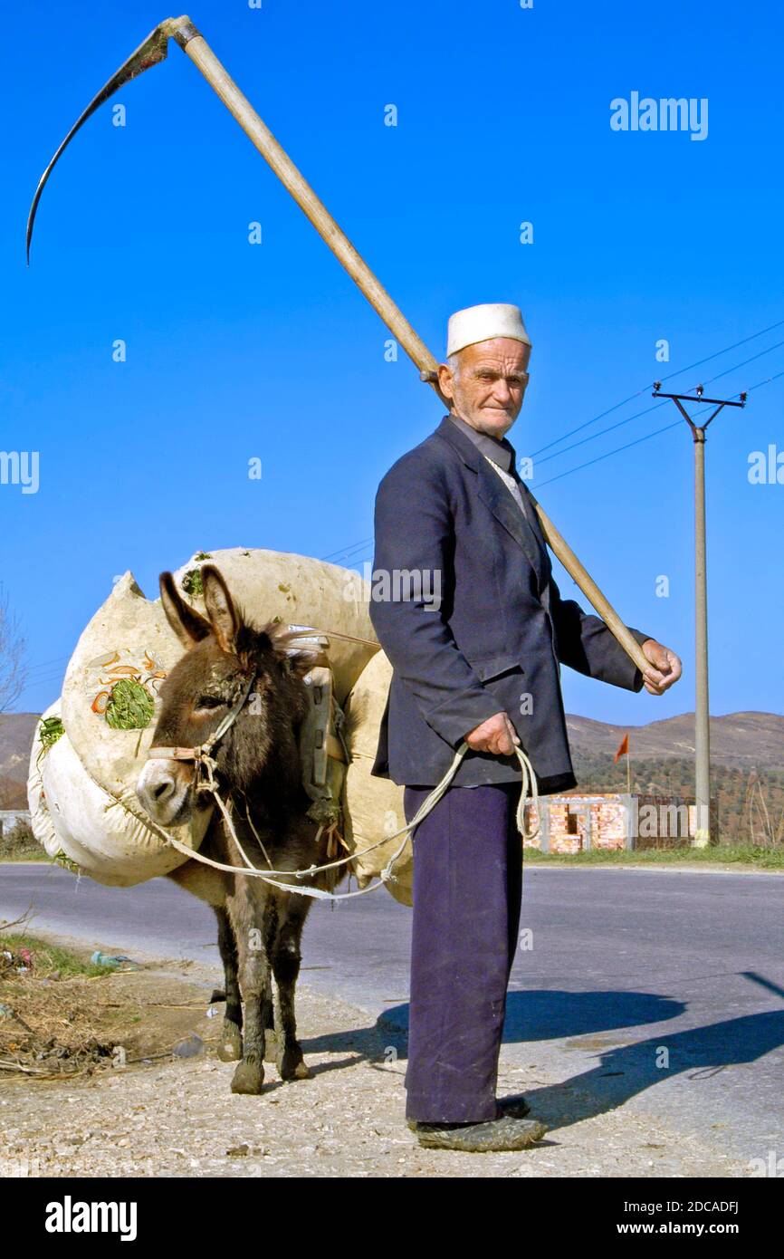 Albanischer Bauer mit Sense und Esel, Mittelalbanien Stockfoto