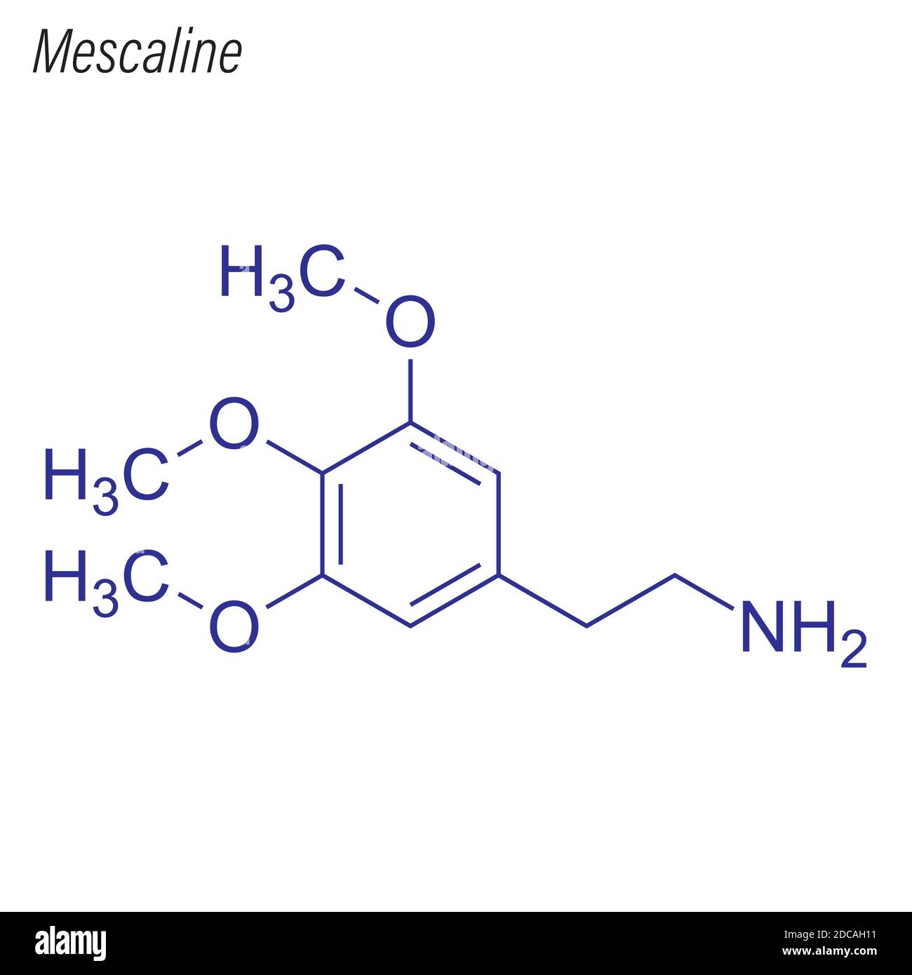 Skelettformel von Meskalin. Molekül der Medikamentenchemie. Stock Vektor