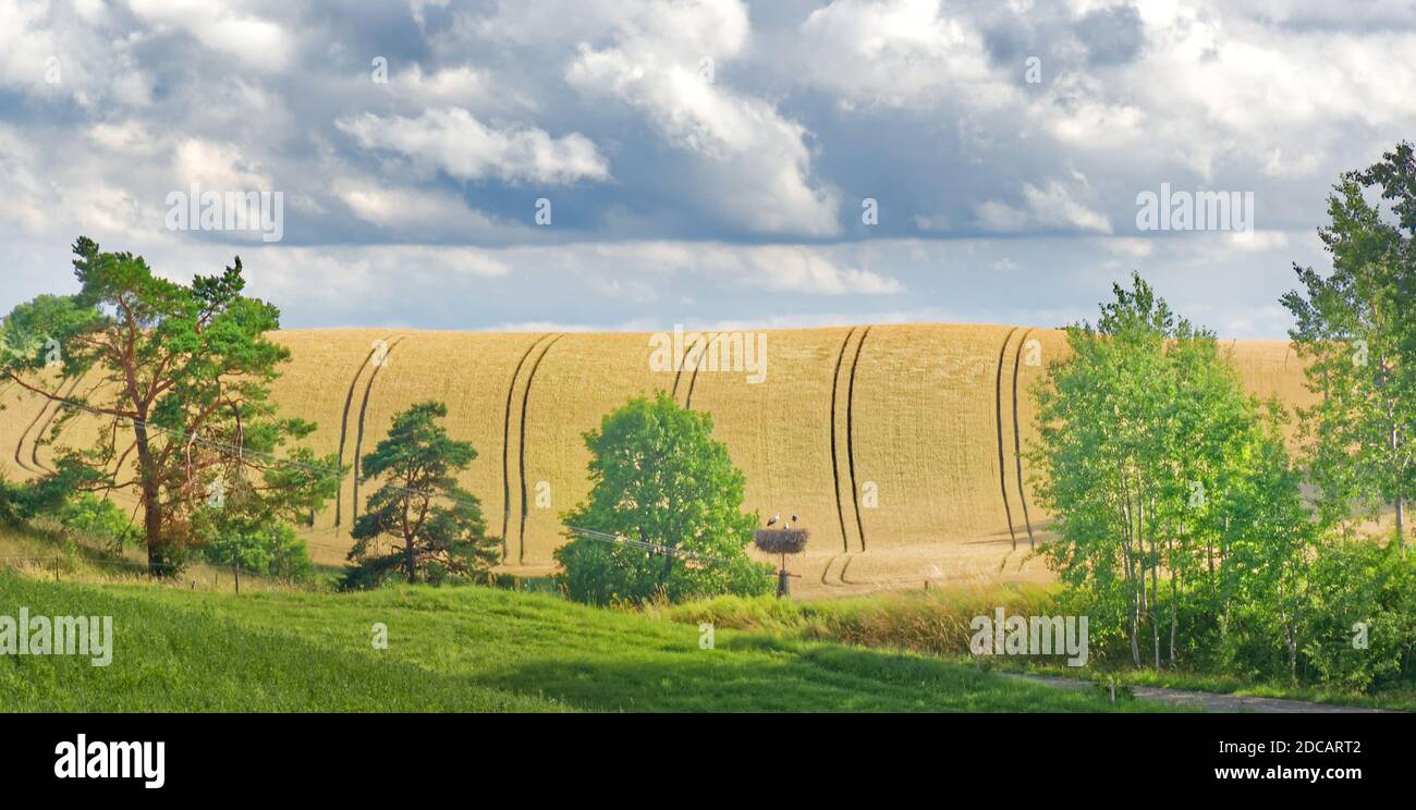 Landwirtschaftliche Landschaft mit polnischen Feldern und blau bewölktem Himmel oben. Polnische Landschaft im Sommer. Stockfoto