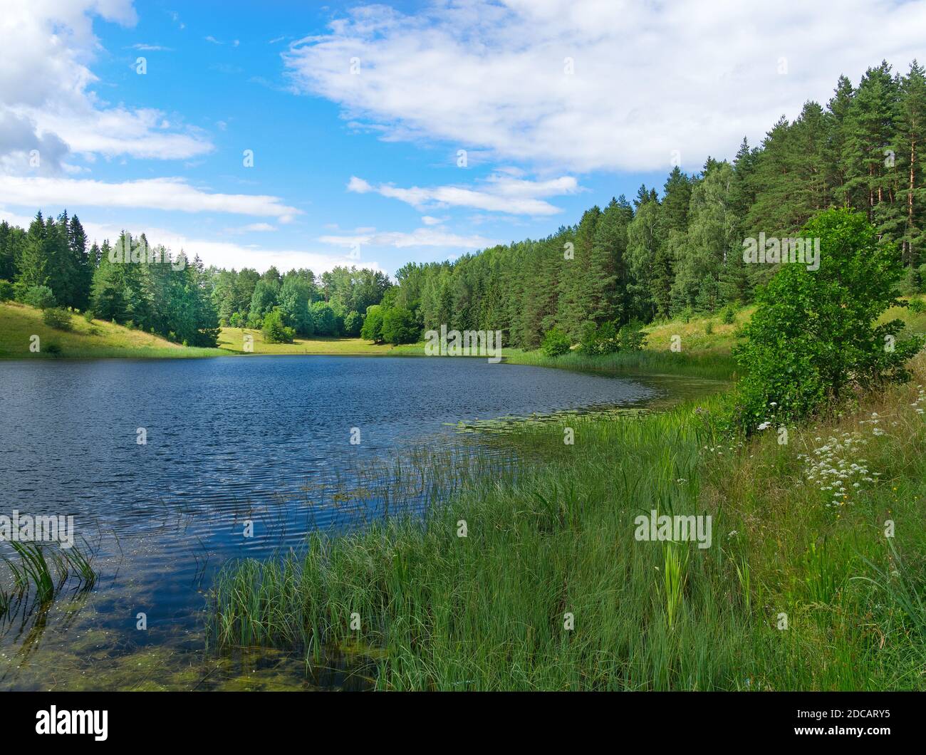 Landschaft des Dobellus Duzy Sees in Suwalszczyzna, Polen an einem Tag. Stockfoto