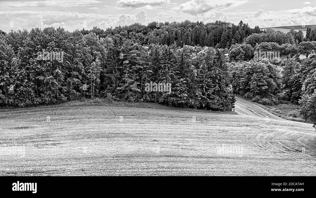 Suwałki Landschaft in schwarz-weiß Panoramafotografie mit einem Feld im Vordergrund und Wald in zweiter Ebene. Stockfoto