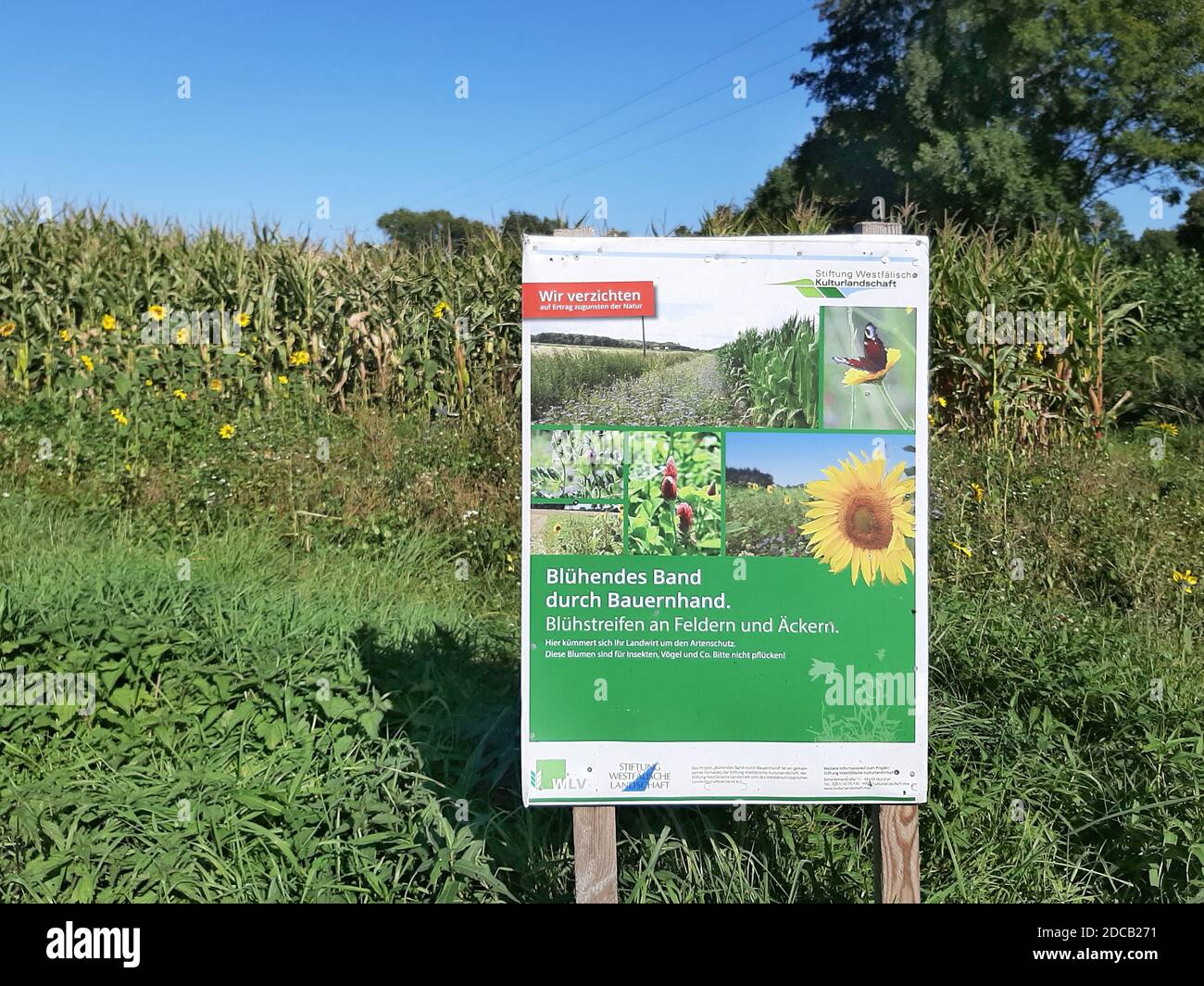 Imagekampagne von landwirtschaftlichen Höfe, Deutschland Stockfoto