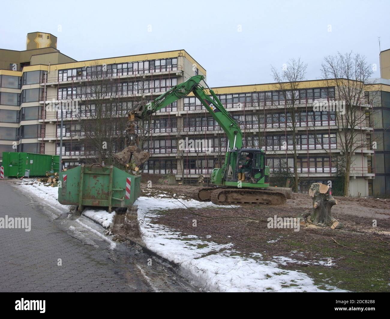 Fällen von Bäumen auf einer öffentlichen Grünfläche, Deutschland, Nordrhein-Westfalen, Ruhrgebiet, Dortmund Stockfoto