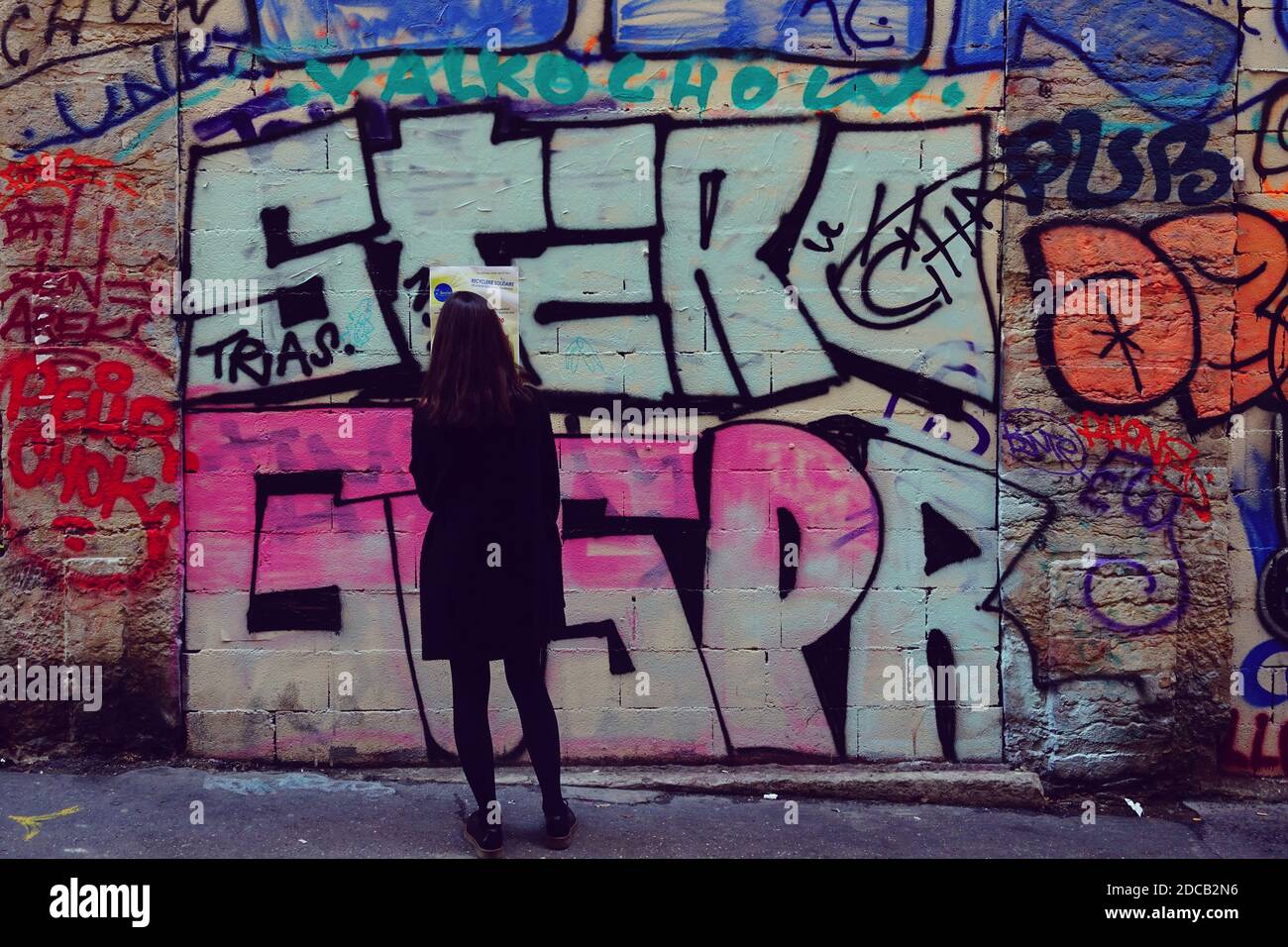 Mädchen bewundern Graffitis in einer Mauer des Stadtzentrums von Lyon, Frankreich Stockfoto