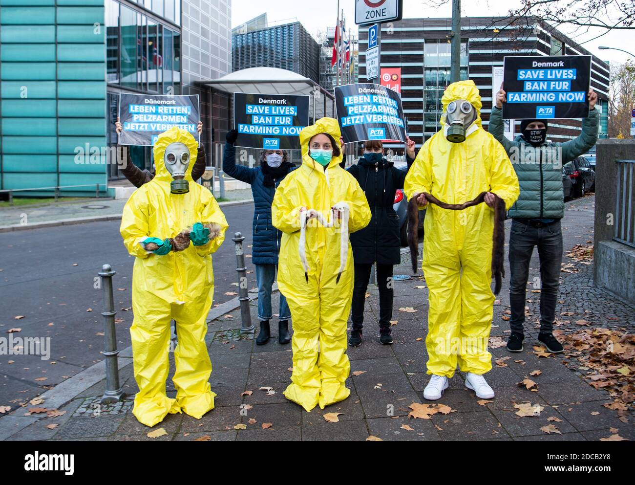 Berlin, Deutschland. November 2020. Demonstranten stehen vor der dänischen Botschaft in Berlin mit Schilder, die in verschiedenen Sprachen "Leben retten, Pelzfarmen jetzt verbieten" sagen. Die Leute davor halten Nerzfelle in ihren Händen. Die Tierrechtsorganisation Peta protestiert anläßlich der Entwicklung von Mutationen des Corona-Virus in dänischen Nerzbetrieben und fordert ein Verbot von Pelzfarmen. Pelzfarmen bedrohen laut Peta die Gesundheit aller Lebewesen. Quelle: Kira Hofmann/dpa-Zentralbild/dpa/Alamy Live News Stockfoto